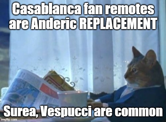 Surea and Vespucci remotes | Casablanca fan remotes are Anderic REPLACEMENT; Surea, Vespucci are common | image tagged in i should buy a boat cat | made w/ Imgflip meme maker