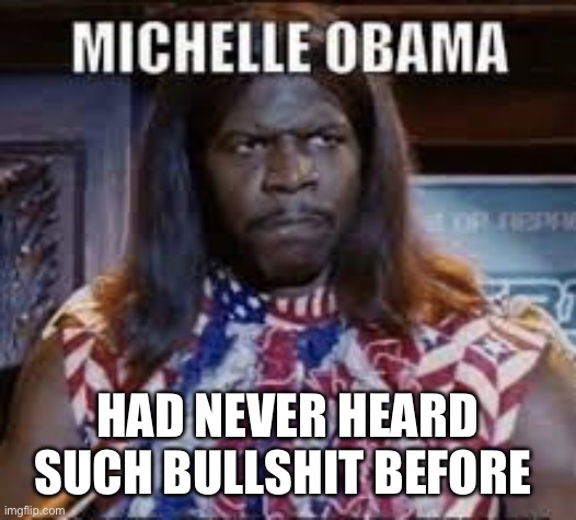 Michelle Obama | HAD NEVER HEARD SUCH BULLSHIT BEFORE | image tagged in michelle obama | made w/ Imgflip meme maker