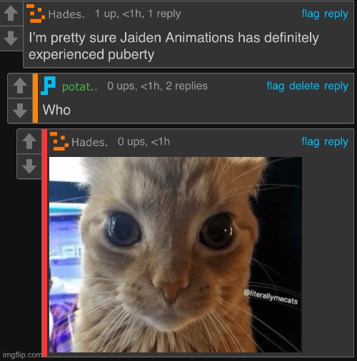 I’m pretty sure Jaiden animations | image tagged in i m pretty sure jaiden animations | made w/ Imgflip meme maker