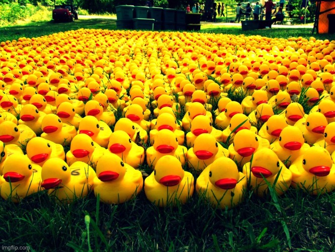 Rubber Ducky Army | image tagged in rubber ducky army | made w/ Imgflip meme maker