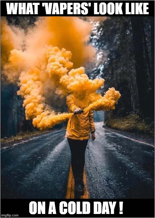 Smoke Signals ! | WHAT 'VAPERS' LOOK LIKE; ON A COLD DAY ! | image tagged in smoking,flare,vaping | made w/ Imgflip meme maker