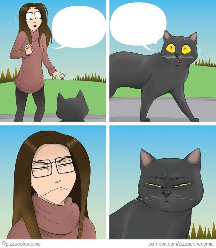 Women and cat meeting each other Blank Meme Template