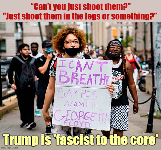 Donald Trump wanted to shoot American protestors during the George Floyd protests. | “Can’t you just shoot them?"
"Just shoot them in the legs or something?”; Trump is 'fascist to the core' | image tagged in donald trump,fascist,shoot,protesters,george floyd | made w/ Imgflip meme maker