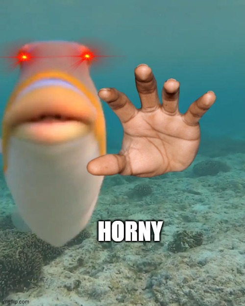 staring fish | HORNY | image tagged in staring fish | made w/ Imgflip meme maker