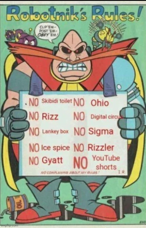 robotnik's rules | image tagged in robotnik's rules | made w/ Imgflip meme maker