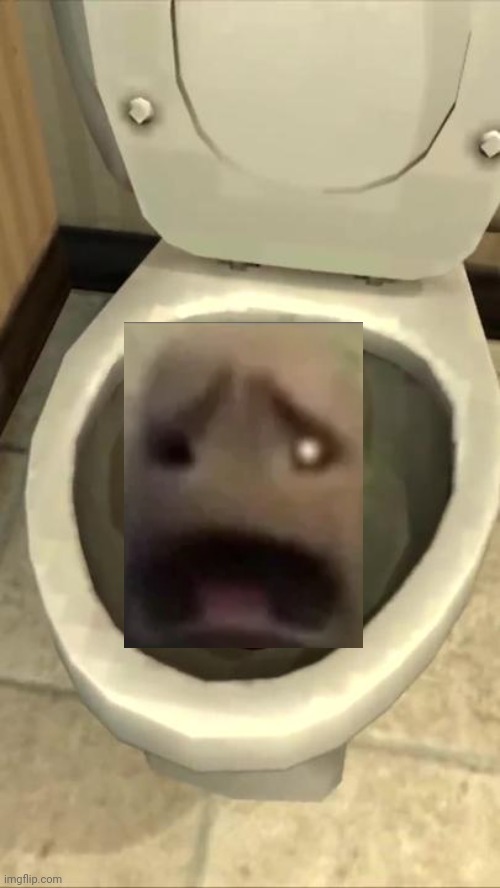 Skibidi toilet | image tagged in skibidi toilet | made w/ Imgflip meme maker