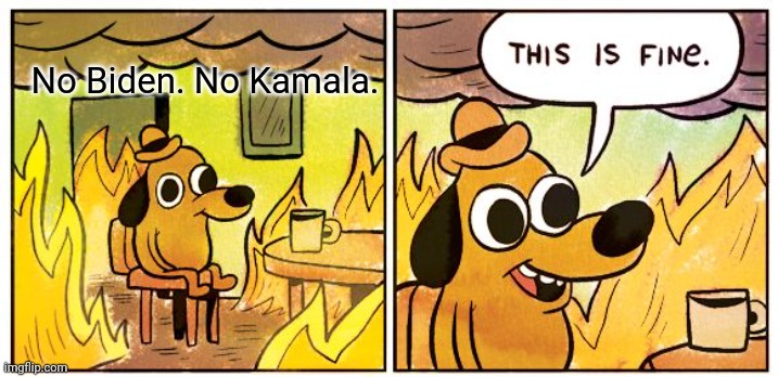 This Is Fine Meme | No Biden. No Kamala. | image tagged in memes,this is fine,politics | made w/ Imgflip meme maker