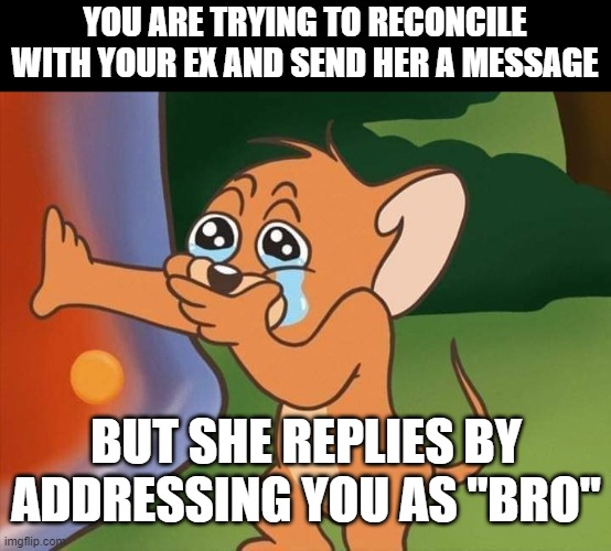 When you get bro-zoned by your ex | YOU ARE TRYING TO RECONCILE WITH YOUR EX AND SEND HER A MESSAGE; BUT SHE REPLIES BY ADDRESSING YOU AS "BRO" | image tagged in jerry crying,relatable,relationships,memes,sad,so true | made w/ Imgflip meme maker