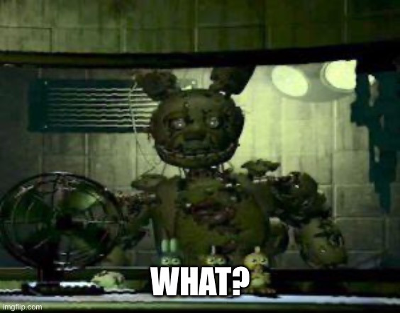 FNAF Springtrap in window | WHAT? | image tagged in fnaf springtrap in window | made w/ Imgflip meme maker