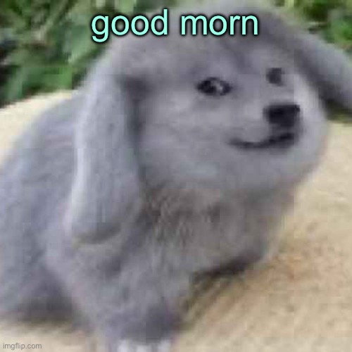 the creature | good morn | image tagged in the creature | made w/ Imgflip meme maker