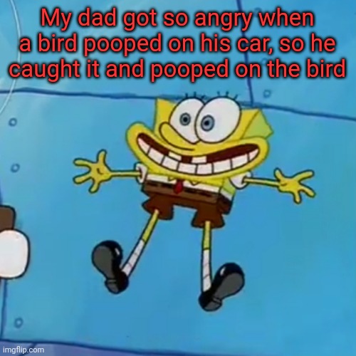 spob | My dad got so angry when a bird pooped on his car, so he caught it and pooped on the bird | image tagged in spob | made w/ Imgflip meme maker