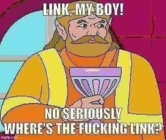 Link, my boy! | image tagged in link my boy | made w/ Imgflip meme maker