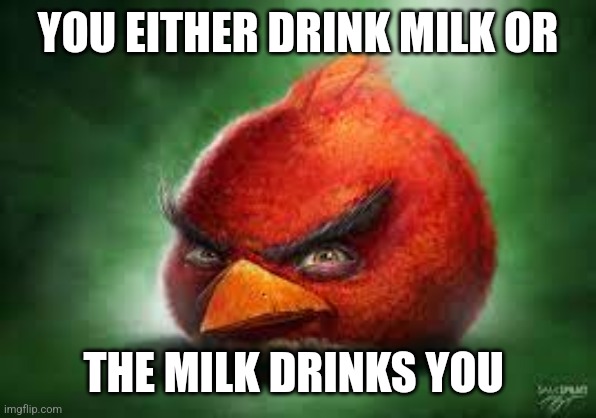 Milk | YOU EITHER DRINK MILK OR; THE MILK DRINKS YOU | image tagged in realistic red angry birds | made w/ Imgflip meme maker