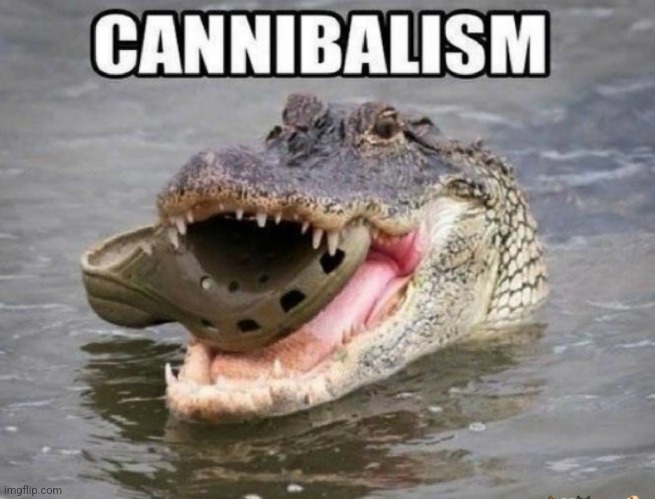 What a Croc! | image tagged in what a croc,funny memes,funny,crocodile | made w/ Imgflip meme maker