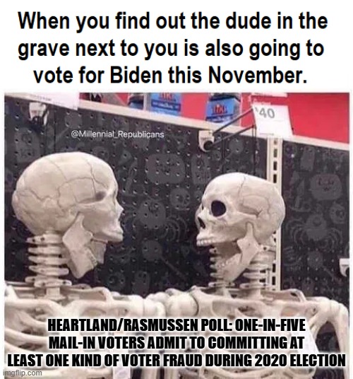 The Dead vote Democrat every election | HEARTLAND/RASMUSSEN POLL: ONE-IN-FIVE MAIL-IN VOTERS ADMIT TO COMMITTING AT LEAST ONE KIND OF VOTER FRAUD DURING 2020 ELECTION | image tagged in the dead vote democrat every election | made w/ Imgflip meme maker