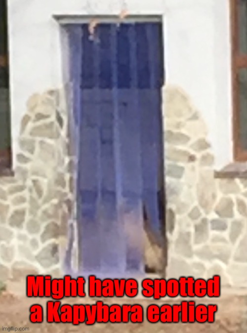 Went to a Zoo btw | Might have spotted a Kapybara earlier | made w/ Imgflip meme maker