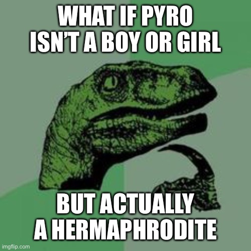 A hermaphrodite is something that is both a boy and a girl | WHAT IF PYRO ISN’T A BOY OR GIRL; BUT ACTUALLY A HERMAPHRODITE | made w/ Imgflip meme maker