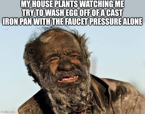 MY HOUSE PLANTS WATCHING ME TRY TO WASH EGG OFF OF A CAST IRON PAN WITH THE FAUCET PRESSURE ALONE | image tagged in funny memes | made w/ Imgflip meme maker