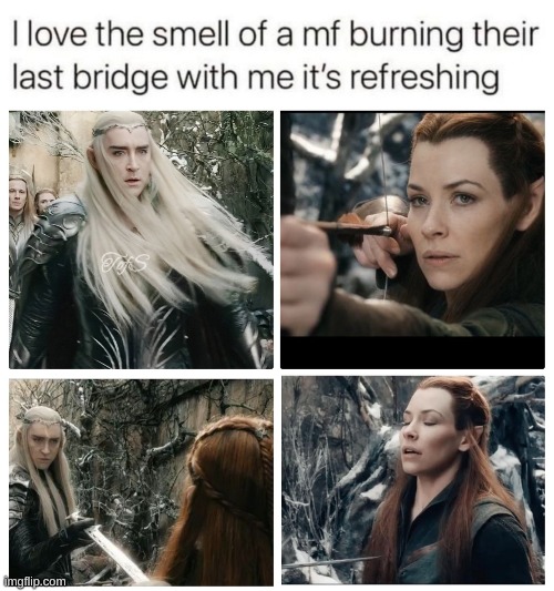 image tagged in lotr,the hobbit | made w/ Imgflip meme maker