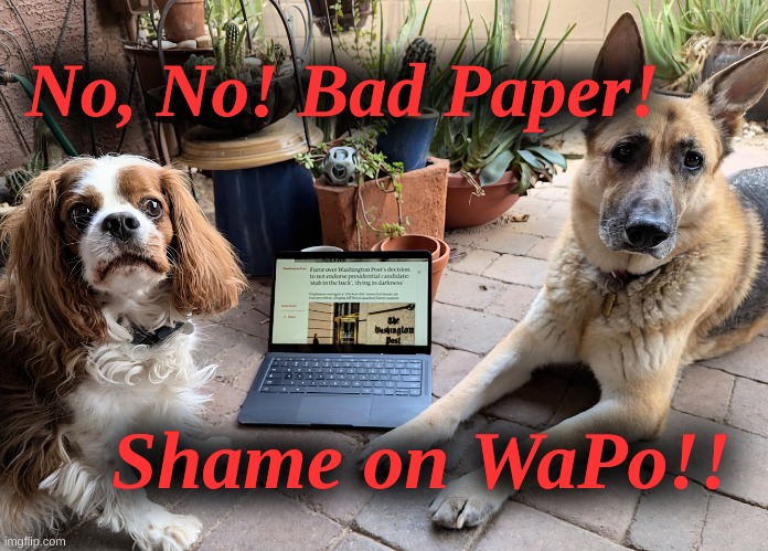 Dogs with WaPo | No, No! Bad Paper! Shame on WaPo!! | image tagged in bad paper,shame on wapo | made w/ Imgflip meme maker