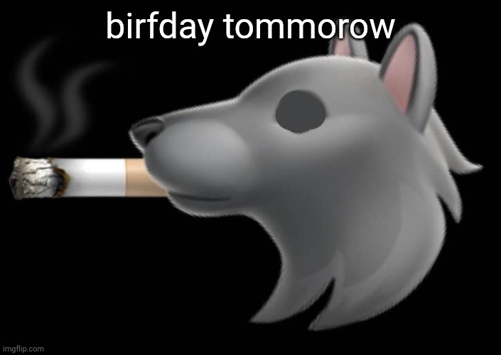 epic fucking wolf smoking a cigar | birfday tommorow | image tagged in epic fucking wolf smoking a cigar | made w/ Imgflip meme maker