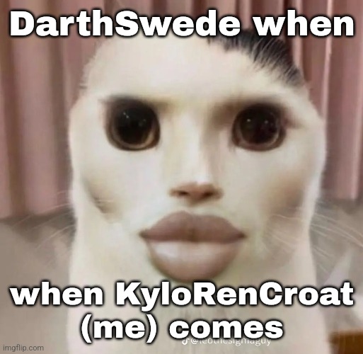 DarthSwede when; when KyloRenCroat (me) comes | made w/ Imgflip meme maker