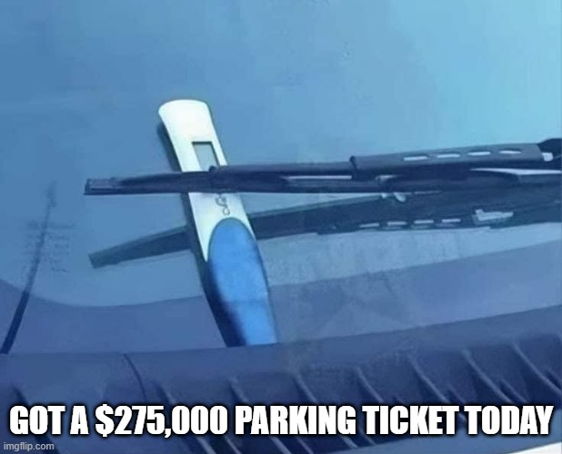 Expensive Ticket | GOT A $275,000 PARKING TICKET TODAY | image tagged in dark humor | made w/ Imgflip meme maker