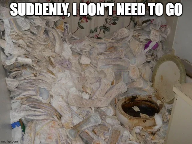 Padded Potty | SUDDENLY, I DON'T NEED TO GO | image tagged in cursed image | made w/ Imgflip meme maker