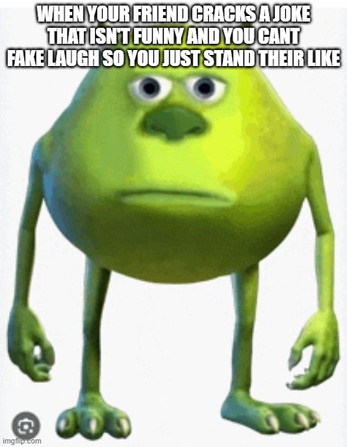 Meme | WHEN YOUR FRIEND CRACKS A JOKE THAT ISN'T FUNNY AND YOU CANT FAKE LAUGH SO YOU JUST STAND THEIR LIKE | image tagged in relatable,funny | made w/ Imgflip meme maker