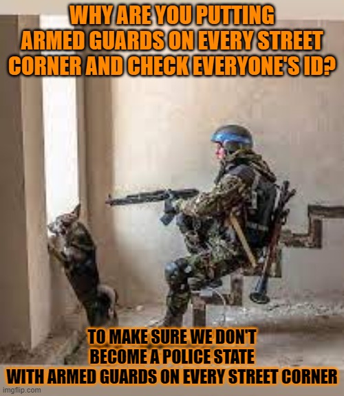 This #lolcat wonders why hoo-mens often miss their own point | WHY ARE YOU PUTTING ARMED GUARDS ON EVERY STREET CORNER AND CHECK EVERYONE'S ID? TO MAKE SURE WE DON'T BECOME A POLICE STATE
WITH ARMED GUARDS ON EVERY STREET CORNER | image tagged in police state,lolcat | made w/ Imgflip meme maker