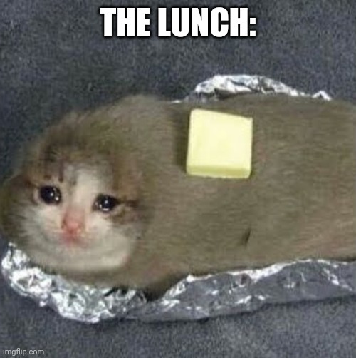 Sad potato cat | THE LUNCH: | image tagged in sad potato cat | made w/ Imgflip meme maker