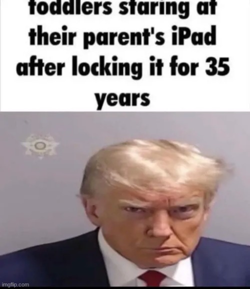 oopsie | image tagged in gifs,memes,funny,shitpost,donald trump mugshot,unnecessary tags | made w/ Imgflip meme maker