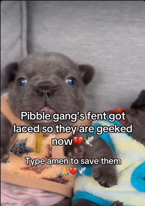 idk if I should save them | made w/ Imgflip meme maker