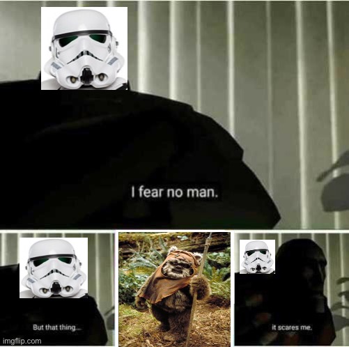 Don’t forget that one Ewok was playing with Trooper Helmets like drums at The Endor celebration at the end of Return Of The Jedi | image tagged in i fear no man,ewok,stormtrooper | made w/ Imgflip meme maker