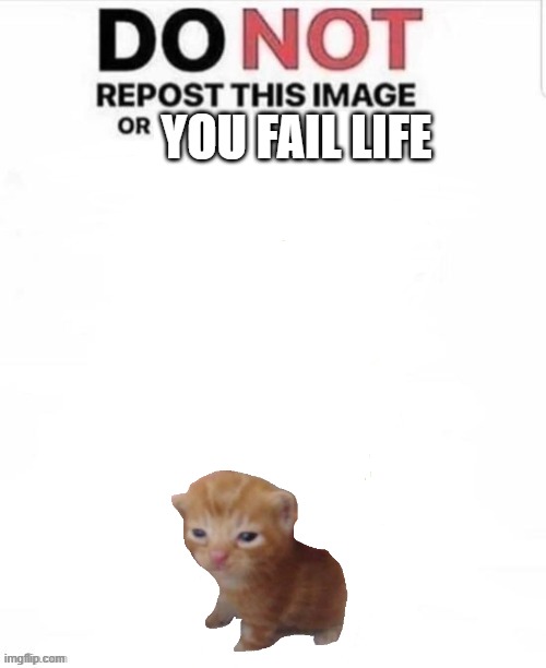 DO NOT repost this image or blank | YOU FAIL LIFE; (NOT | image tagged in do not repost this image or blank | made w/ Imgflip meme maker