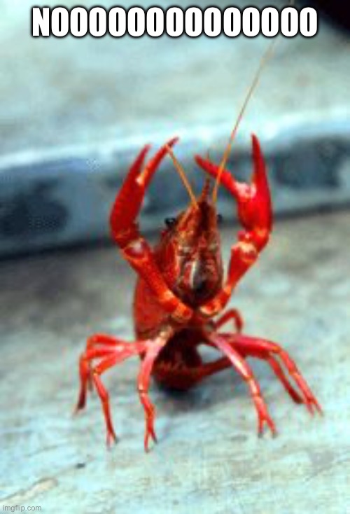 Birthday crawfish | NOOOOOOOOOOOOOO | image tagged in birthday crawfish | made w/ Imgflip meme maker