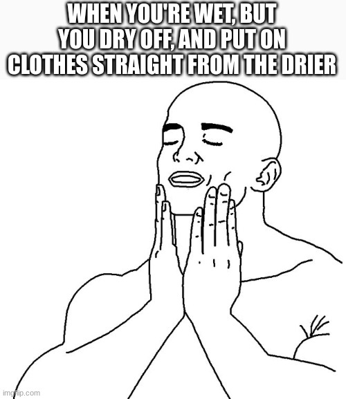 Satisfaction | WHEN YOU'RE WET, BUT YOU DRY OFF, AND PUT ON CLOTHES STRAIGHT FROM THE DRIER | image tagged in satisfaction | made w/ Imgflip meme maker