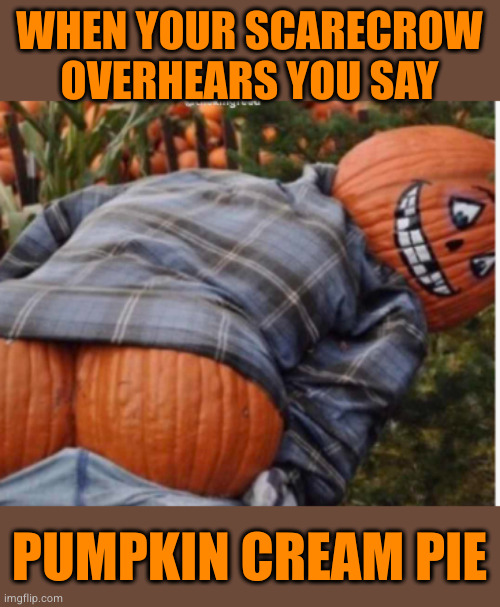 Twerking Pumpkin | WHEN YOUR SCARECROW OVERHEARS YOU SAY; PUMPKIN CREAM PIE | image tagged in twerking pumpkin | made w/ Imgflip meme maker