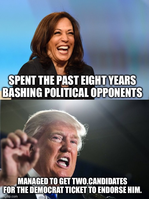 Who is causing division in the country? | SPENT THE PAST EIGHT YEARS BASHING POLITICAL OPPONENTS; MANAGED TO GET TWO.CANDIDATES FOR THE DEMOCRAT TICKET TO ENDORSE HIM. | image tagged in kamala harris laughing,donald trump | made w/ Imgflip meme maker