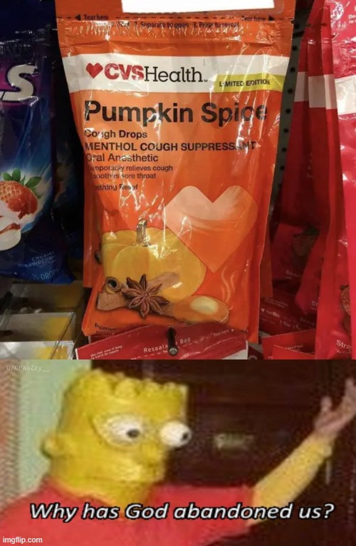 pumpkin spice is on EVERYTHING... | image tagged in why has god abandoned us | made w/ Imgflip meme maker