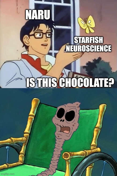 NARU; STARFISH NEUROSCIENCE; IS THIS CHOCOLATE? | image tagged in anime butterfly meme,spongebob chocolate grandma | made w/ Imgflip meme maker