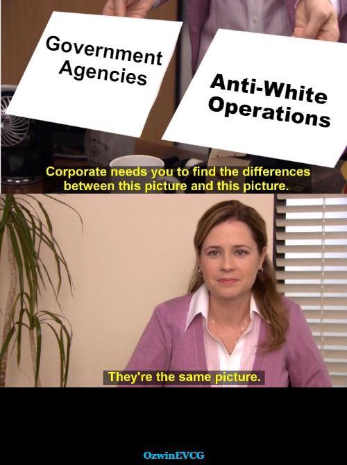 2 . GOV Ops/AW Ops . 2 | Government 

Agencies; Anti-White 

Operations; OzwinEVCG | image tagged in government corruption,antiwhite,policies,double standards,occupied usa,find the difference | made w/ Imgflip meme maker