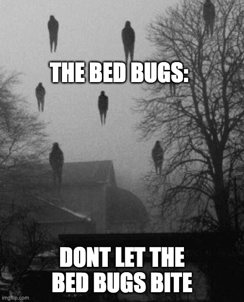 Me and the boys at 3 AM | THE BED BUGS:; DONT LET THE BED BUGS BITE | image tagged in me and the boys at 3 am | made w/ Imgflip meme maker