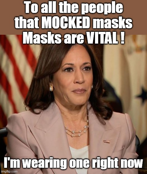 Two, one for each face (or race) | To all the people that MOCKED masks
Masks are VITAL ! I'm wearing one right now | image tagged in kamala mask meme | made w/ Imgflip meme maker