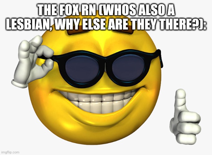 Emoticon Thumbs Up | THE FOX RN (WHOS ALSO A LESBIAN, WHY ELSE ARE THEY THERE?): | image tagged in emoticon thumbs up | made w/ Imgflip meme maker