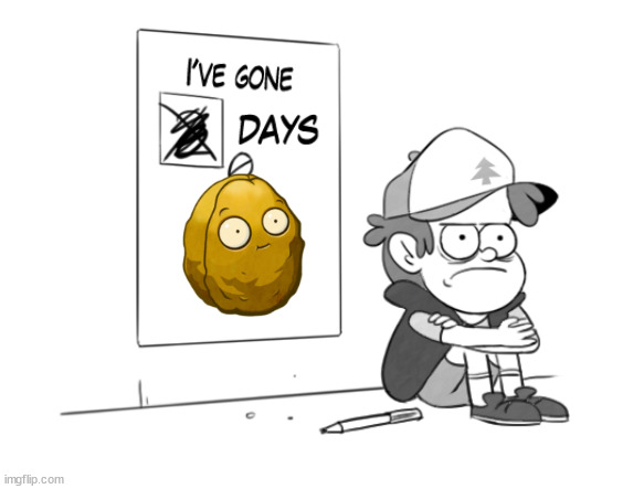 Dipper has gone 0 days without x | image tagged in dipper has gone 0 days without x | made w/ Imgflip meme maker