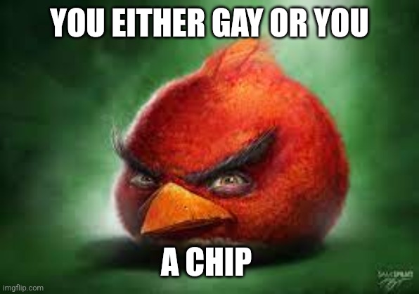 Makes no sense | YOU EITHER GAY OR YOU; A CHIP | made w/ Imgflip meme maker