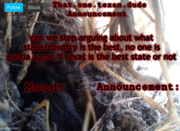 THE that.one.texan.dude announcement template | can we stop arguing about what state/country is the best, no one is gonna agree if texas is the best state or not | image tagged in the that one texan dude announcement template | made w/ Imgflip meme maker