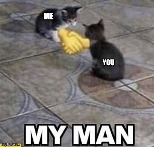 Cats shaking hands | ME YOU | image tagged in cats shaking hands | made w/ Imgflip meme maker