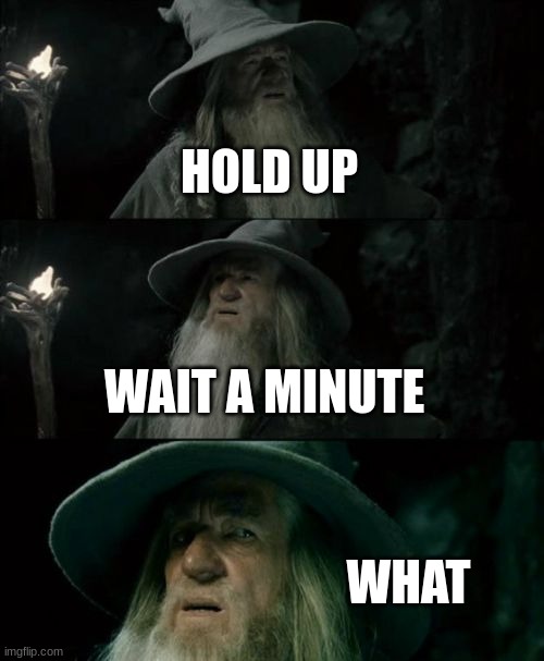 Confused Gandalf Meme | HOLD UP WAIT A MINUTE WHAT | image tagged in memes,confused gandalf | made w/ Imgflip meme maker